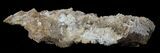 Calcite & Aragonite Stalactite Formation #61222-1